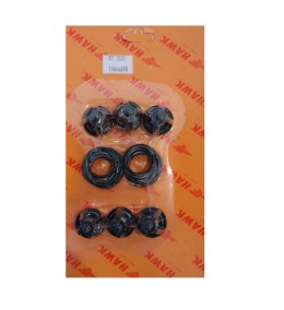 KIT COMPLETO VALVULAS XLT-XLTI